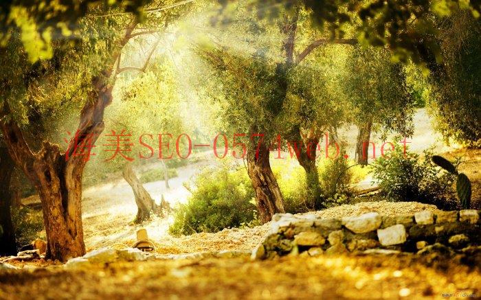 【常見問題】SEO 需要花多少時間才能看到成效？ - SEO公司| 企業(yè)網(wǎng)絡營銷| 百度關鍵詞排名- 海美SEO