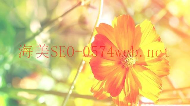 【SEO教學(xué)】SEO 是什么？3 個(gè)最常見的 SEO 謬誤你要知！ - 海美SEO