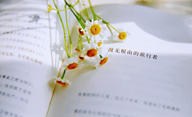 該選擇網(wǎng)站設(shè)計(jì)公司還是自架網(wǎng)站？?jī)?yōu)缺點(diǎn)大分析！ - 海美seo【寧波海美seo優(yōu)化官網(wǎng)】