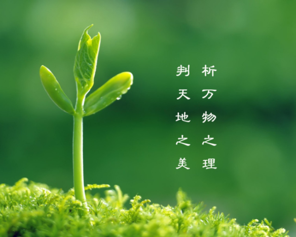 Oracle 11g常用管理命令(用戶、表空間、權(quán)限)