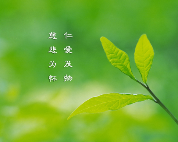 如何討好女生文案短句英文